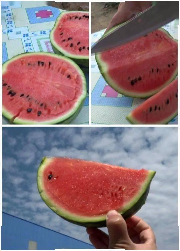 武威吊瓜今日价格,价格行情一览”