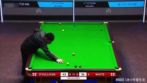 桌球比赛视频,精彩瞬间回顾