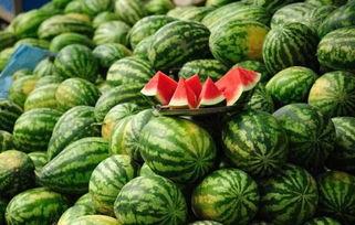 龙池今日瓜价,瓜价波动，新鲜资讯速递