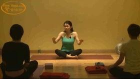 瑜伽初级视频教程2,基础动作巩固与进阶练习