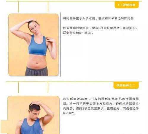 肩膀按摩视频,跟随按摩视频，解锁肩部放松新体验