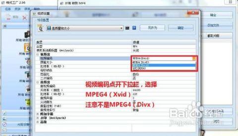 视频卡怎么办,视频卡问题排查与解决攻略
