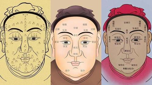 看相视频,揭秘视频中的命运密码