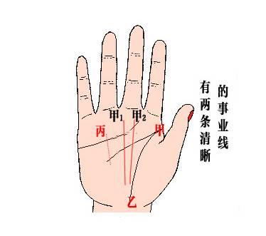 看相视频,揭秘视频中的命运密码