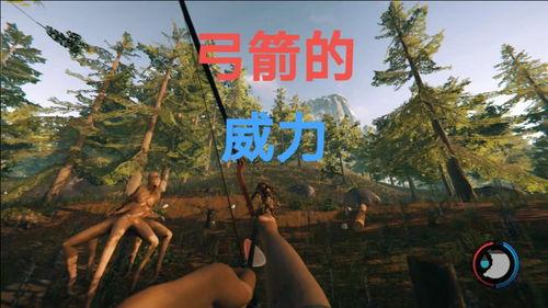 森林游戏视频,游戏视频中的奇幻之旅
