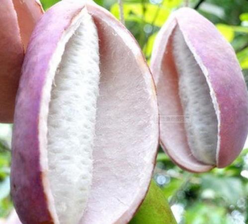 今日头条卖八月瓜赚钱吗,揭秘今日头条上的致富商机