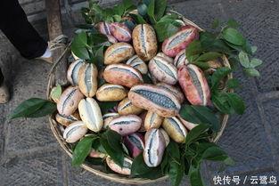 今日头条卖八月瓜赚钱吗,揭秘今日头条上的致富商机