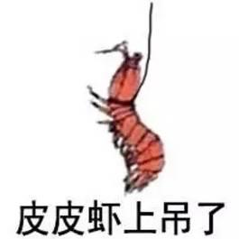 皮皮虾 视频,趣味横生的短视频盛宴