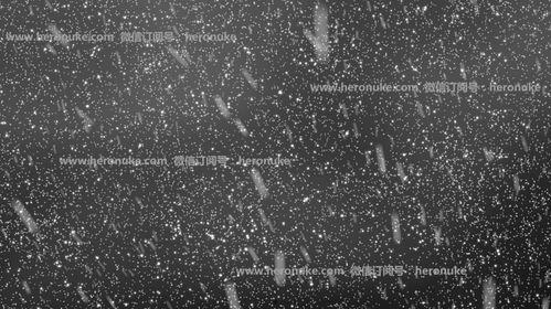 下雪的视频素材,冬日雪景视频集锦