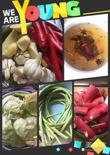 四川泡菜视频,揭秘四川泡菜的独特魅力与制作工艺