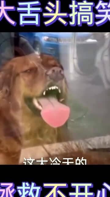 搞笑视频大全爆笑短,笑翻天！搞笑视频大全爆笑短篇精选