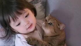 猫儿视频,捕捉萌宠瞬间，带你领略猫咪魅力