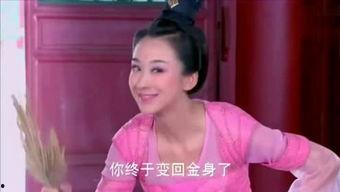 丹丹视频,揭秘生活点滴，展现人间真情