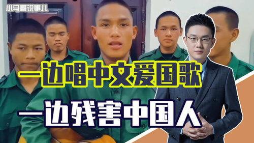 缅甸歌曲视频,探寻东南亚音乐宝藏