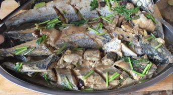 鲅鱼做法视频,跟随视频教程轻松学会美味佳肴