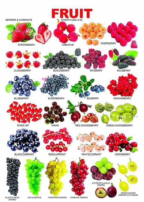 水果英语视频,Unlocking Fruit Vocabulary: A Journey Through English Fruits Videos