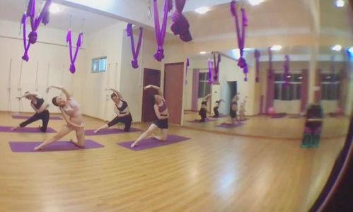 瑜伽舞韵视频,身心合一的灵动之旅