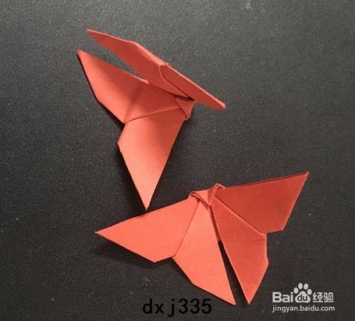 蝴蝶折纸视频,轻松学会制作优雅蝴蝶