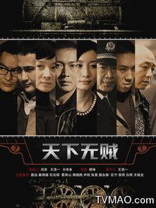 无贼视频,揭秘网络世界的守护者