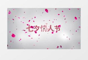 情人节视频素材,情人节甜蜜瞬间回顾