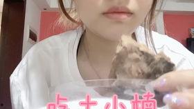 吃土的视频,揭秘网络潮流背后的疯狂与反思