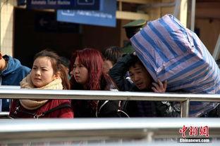 日本三六九视频,揭秘日本文化魅力与生活百态