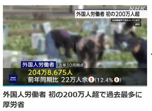 日本三六九视频,揭秘日本文化魅力与生活百态