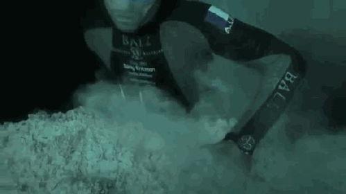 自由潜水视频,自由潜水者的惊险之旅