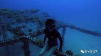 自由潜水视频,自由潜水者的惊险之旅
