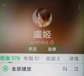 网红歌曲视频,揭秘网红视频的流行密码
