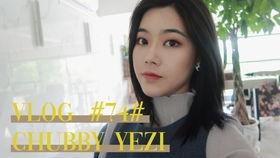 野子视频,探索未知世界的视觉奇旅