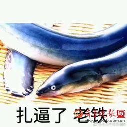 琪琪下体塞黄鳝视频,琪琪下体塞黄鳝事件始末