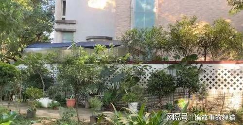 视频花园,探索视觉艺术的无限魅力