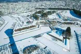 北海道视频,自然奇观与人文风情之旅