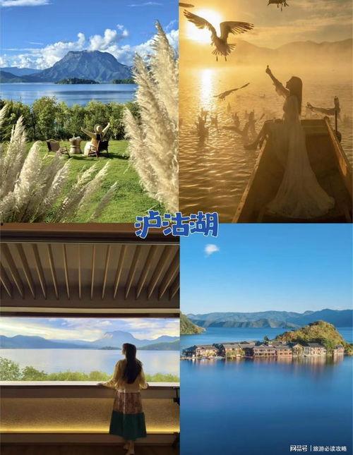 云南导游视频,导游视频中的秘境之旅