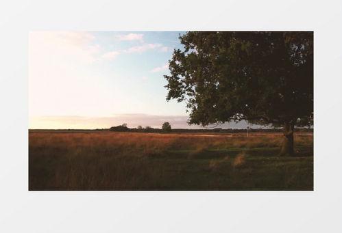 大自然风景短视频,短视频中的山水风情掠影