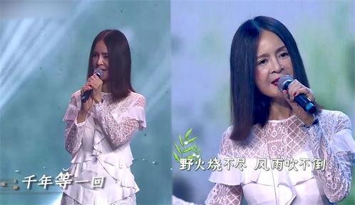 千年等一回高胜美视频,高胜美演绎经典千年等一回