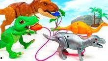 恐龙玩具的视频,探索远古生物的奇幻世界