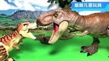 恐龙玩具的视频,探索远古生物的奇幻世界