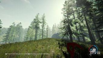 森林攻略视频,探索神秘森林的生存指南与美景揭秘