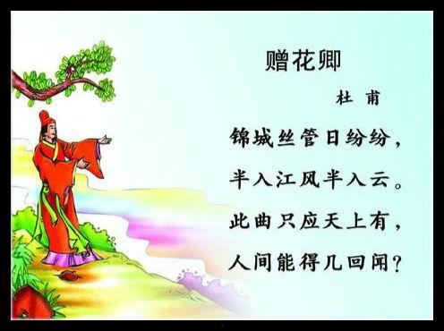 赠花卿视频,一场穿越时空的浪漫邂逅