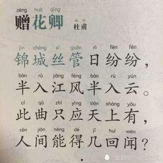 赠花卿视频,一场穿越时空的浪漫邂逅