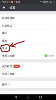 视频 聊天,揭秘现代沟通的艺术与技巧