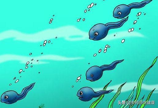 蝌蚪的视频,跟随视频见证蜕变之旅