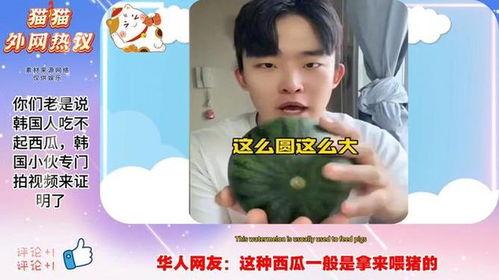 韩国西瓜视频,韩国短视频平台的魅力探索