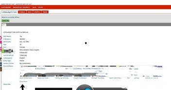 喷潮在线视频,揭秘海洋奇观背后的科学奥秘