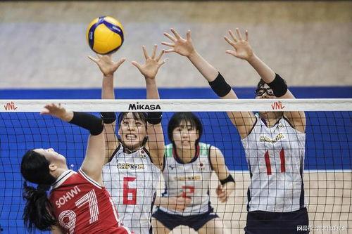 排球扣球视频,排球扣球视频中的精彩瞬间解析