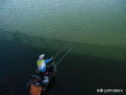 野钓视频,跟随镜头探寻自然水域的垂钓魅力