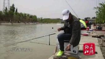 野钓视频,跟随镜头探寻自然水域的垂钓魅力
