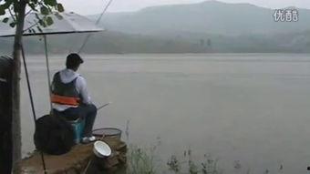 钓鱼野钓视频,跟随视频探寻钓鱼乐趣与技巧